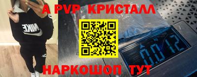 шишки Тверь