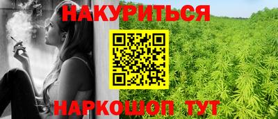 шишки Тверь