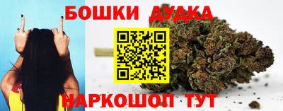 шишки Тверь