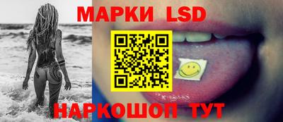 шишки Тверь
