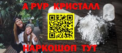 шишки Тверь