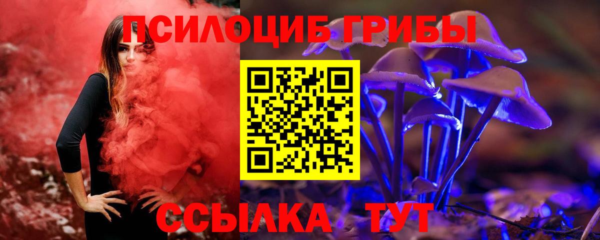 Псилоцибиновые грибы прущие грибы Ачинск